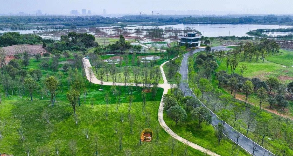 大泽湖湿地公园廊桥